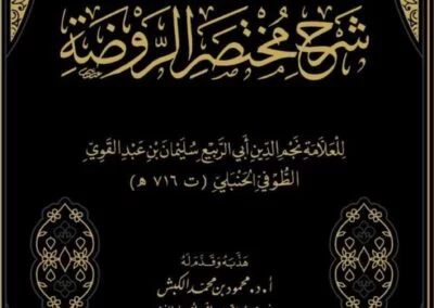 تهذيب شرح مختصر الروضة