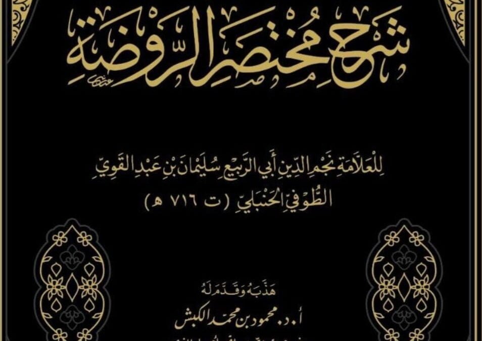 تهذيب شرح مختصر الروضة